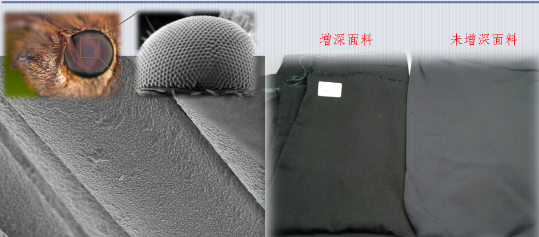 蛾眼结构植入纺织面料 少用染色剂也能显色深|杨雷_新浪财经_新浪网