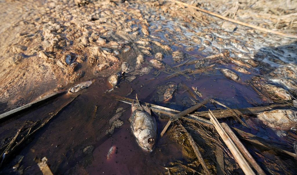 全球极端天气:高温干旱和暴雨洪水引发多重经济影响