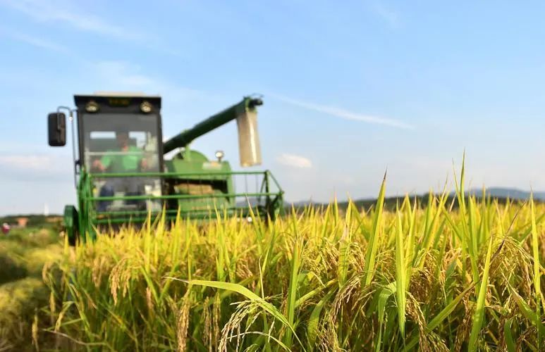 江西排行_江西省11个地级市常住人口排行榜!(2)