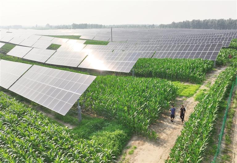 7月11日,在辽宁省彰武县冯家镇哈大冷村,村民经过太阳能光伏发电设备.