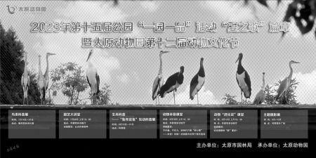 兔子和小鸟猜一成语是什么_单机资讯_逗游资讯中心(2)