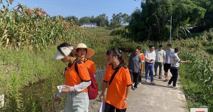 大学生暑期“三下乡”活动 助力乡村振兴|大学生|成都农业科技职业学院|乡村振兴_新浪新闻