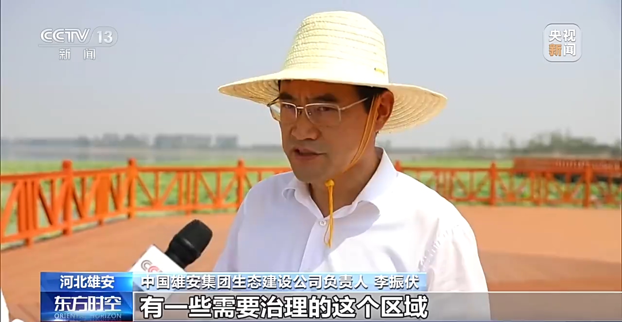中国雄安集团生态建设公司负责人 李振伏:四期清淤完成之后,加上其他