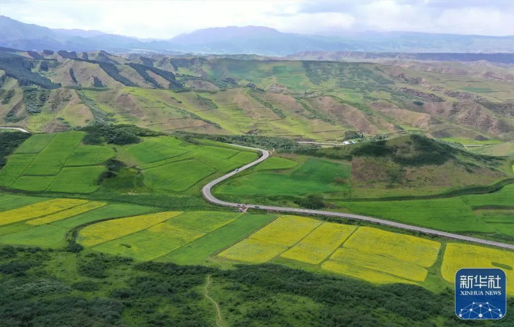 甘肃省武威市古浪县位于河西走廊东端,腾格里沙漠南缘,是全国荒漠化