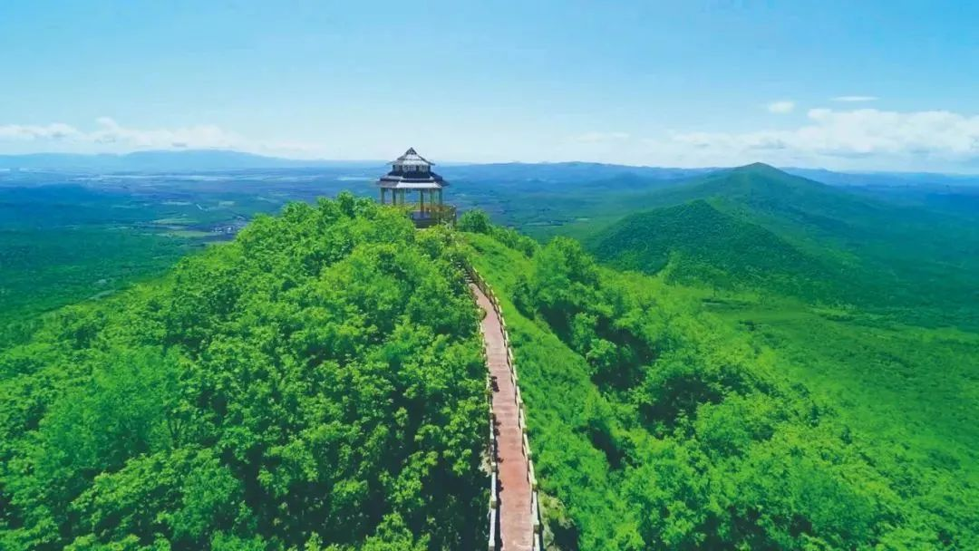 【黑龙江省夏季避暑旅游百日行动】森林湿地,漫步休闲,黑龙江饶河旅游