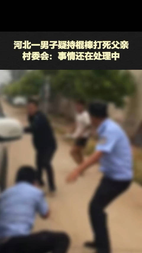 7月17日,河北一男子疑持棍棒打死父亲……|棍棒|村委会|河北省_新浪新闻