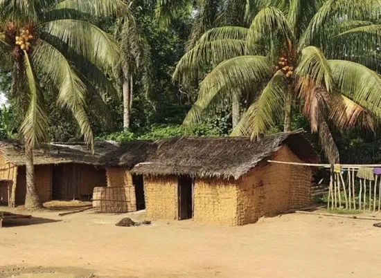 年薪20万元,毕业后你会考虑去非洲吗?|张扬_新浪财经_新浪网