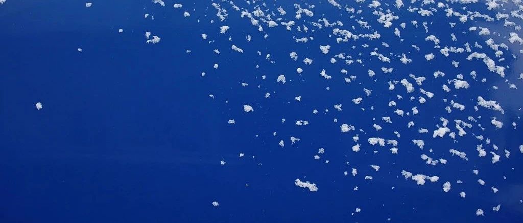 前沿 | 海洋里也会下“雪”吗?|微生物_新浪新闻