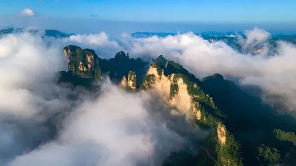 图为陵川县王莽岭云海.张少毅 摄