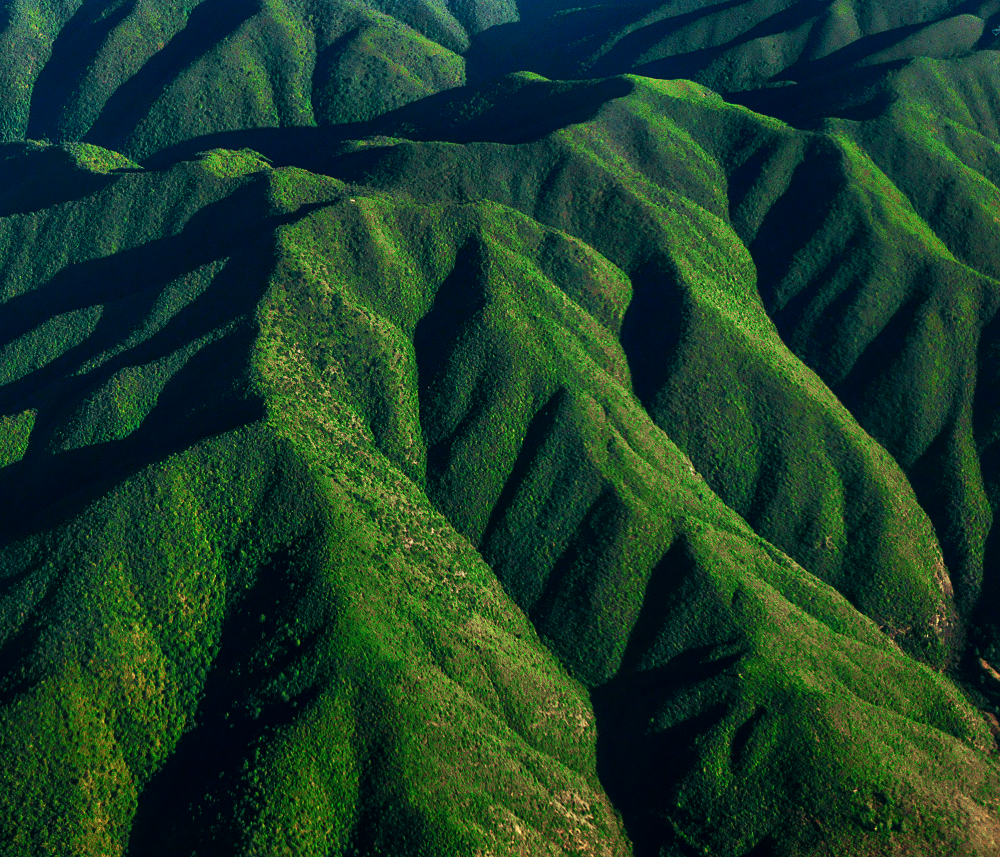 云南西双版纳傣族自治州和普洱市交界区域,有较高的森林覆盖率.