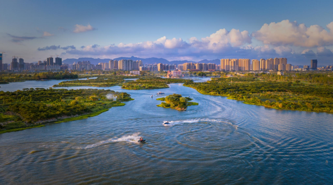 三垟湿地生态公园 项光涨摄来源:温州发布资料:温州日报记者:黄荣杰