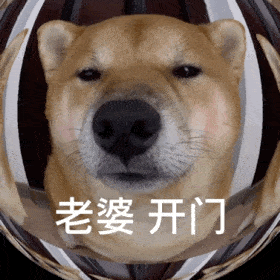 一些开门系列的表情包合集|举手_新浪新闻