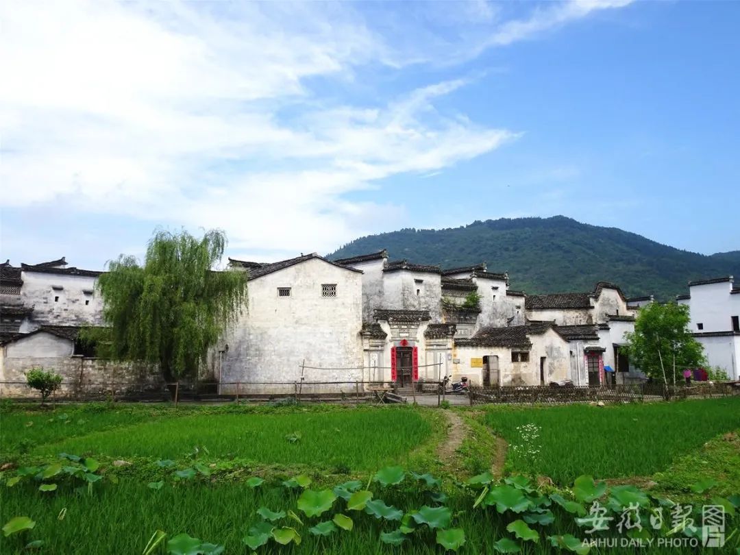 资料图:黟县碧阳镇关麓村绿意盎然.(吴寿宜 摄)