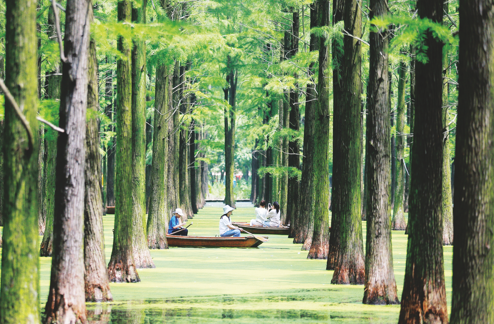 &nbsp;&nbsp;&nbsp;&nbsp;▲游客在江苏省扬州市江都区渌洋湖湿地公园