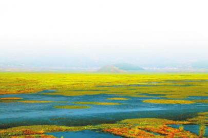 火把原乡迎宾客清凉布拖展风情