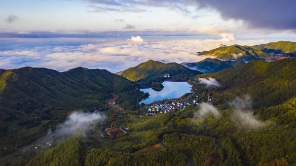 "凉资源"激活"热经济" 浙江金华山避暑游"趁热"升温