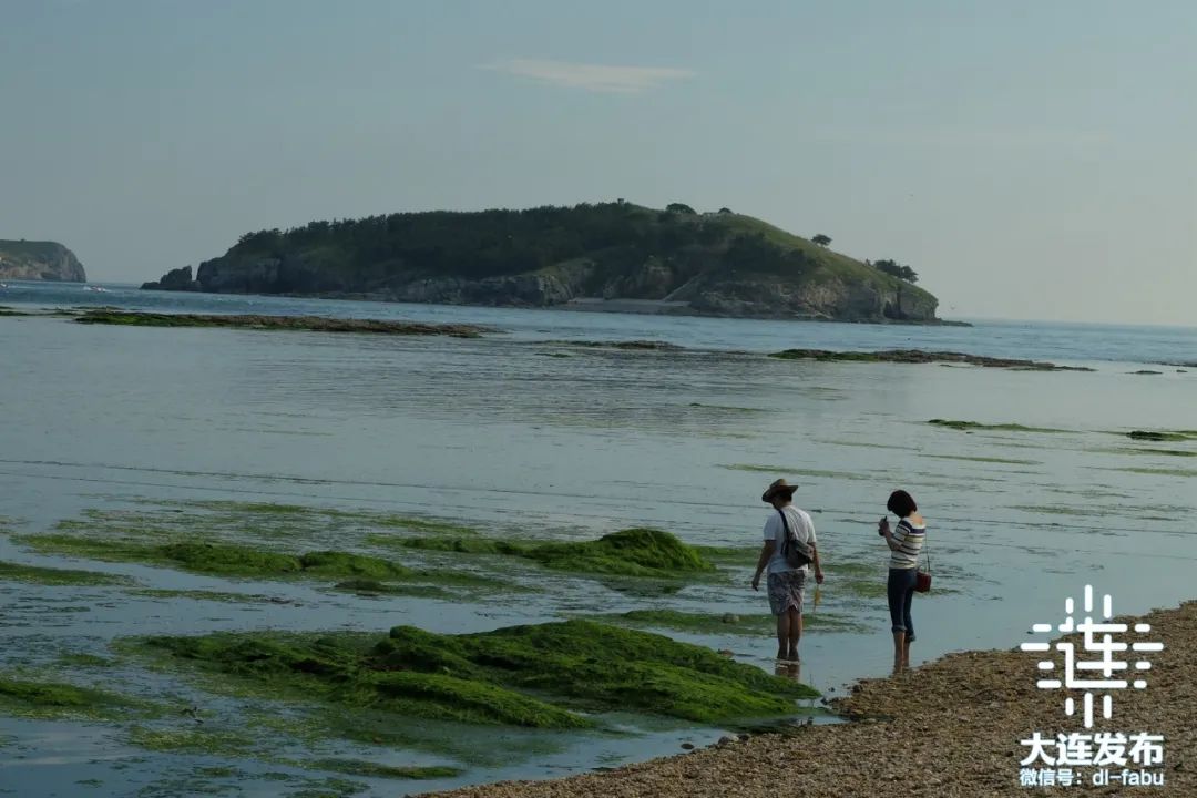 二坨子岛