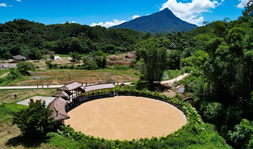 7月10日,海南省五指山市水满乡毛纳村村民将稻谷摊在广场上晾晒(无