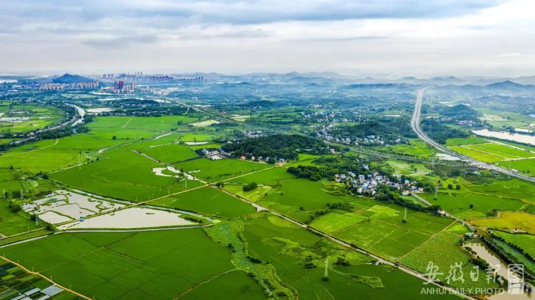 铜陵市枞阳县枞阳镇境内,山青草绿,云雾缭绕,道路通畅,与美丽乡村相映
