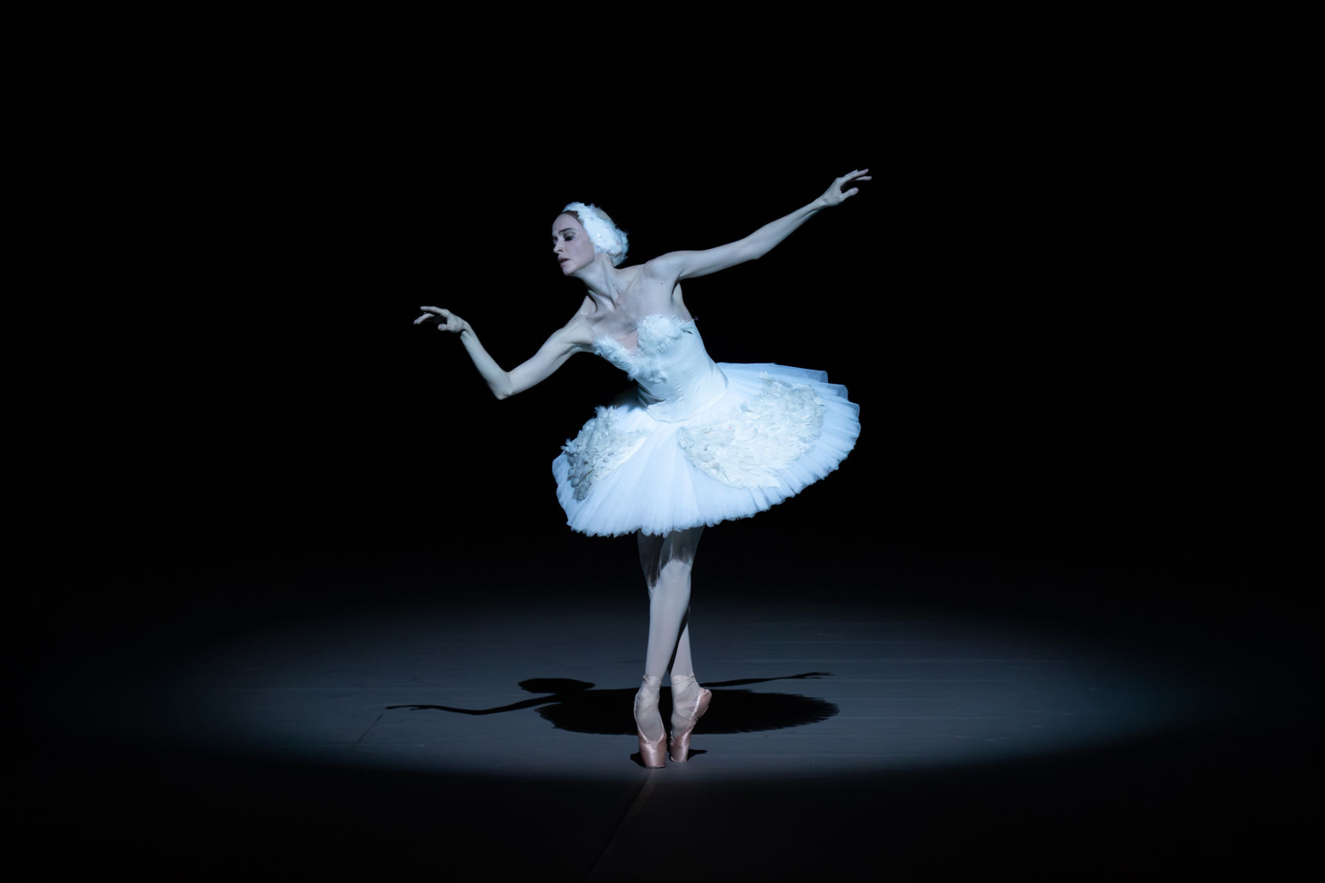 《芭蕾荟萃·莫斯科大剧院芭蕾之最》演出剧照