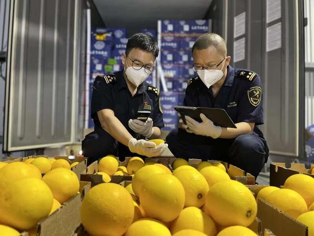 海关关员查验非洲进口的橙子.上海海关供图.