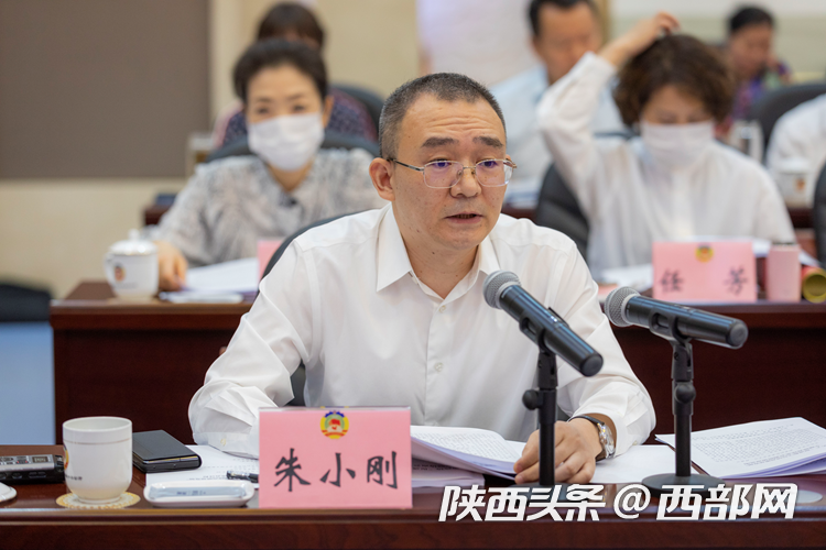 中国电子云陕西省总经理,民建陕西省委会经济委员会委员朱小刚进行