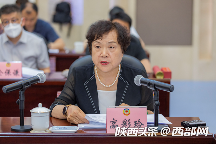 省政协委员,省通信管理局党组书记,局长高彩玲进行发言.