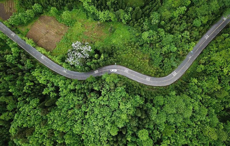 成都彭州市龙门山镇龙源村,当地的公路资料图据极美成都