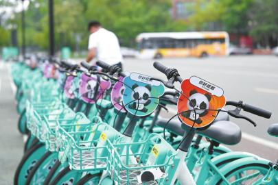 成都大运村里装扮一新的共享单车。 四川日报全媒体记者 华小峰 摄