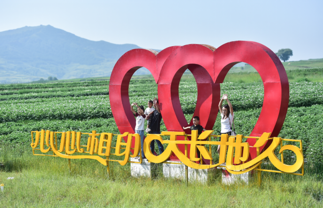 中国·岚县第九届"土豆花开了"旅游文化月开幕式暨《土豆花盛开的地方