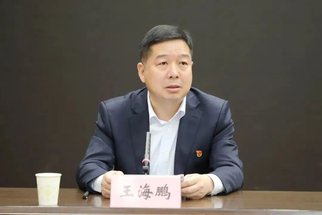 陕西省政府秘书长王海鹏升任副省长|陕西省_新浪财经_新浪网