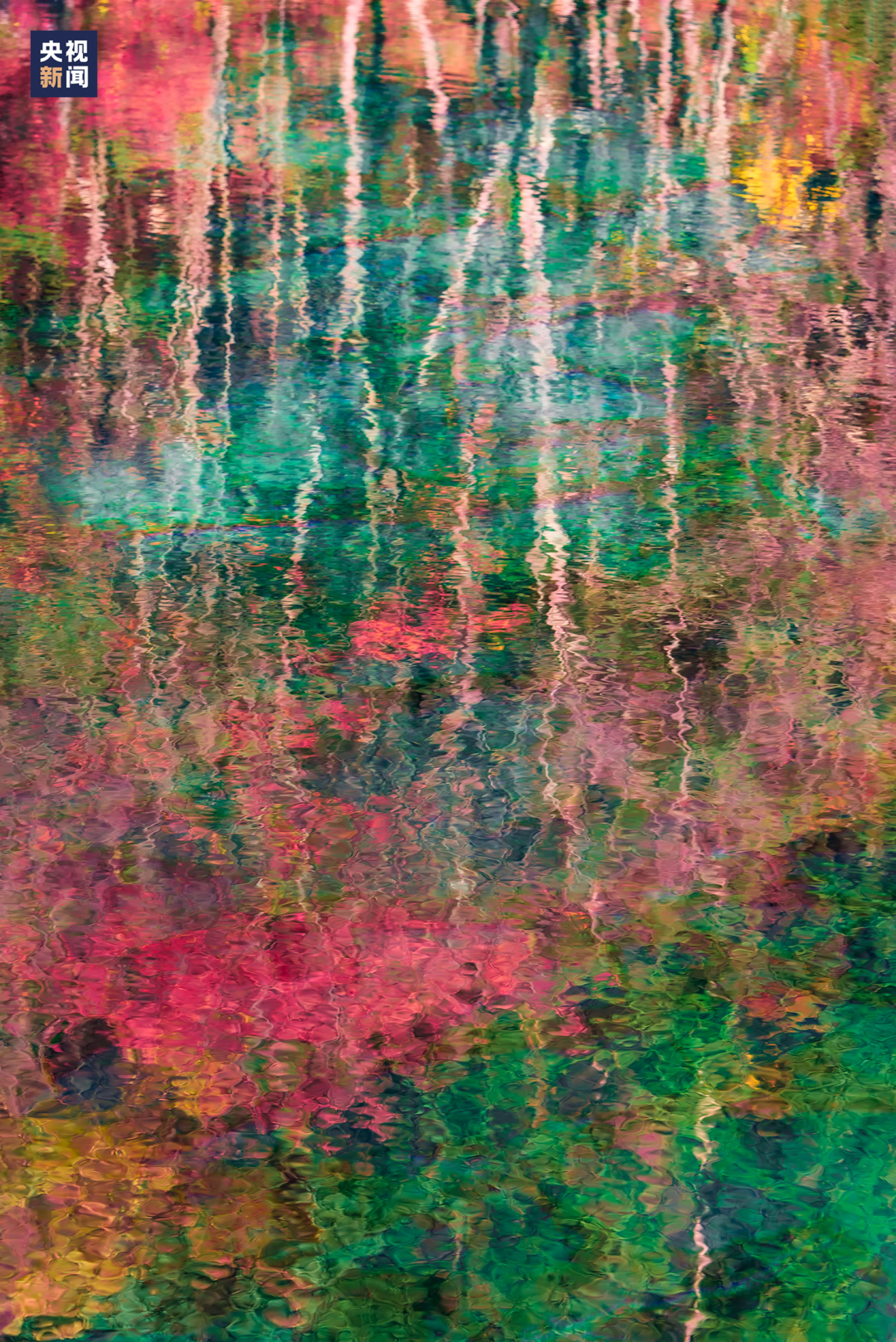 △初秋·九寨沟水中倒影