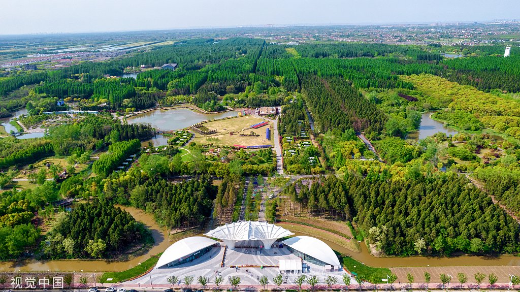 航拍的崇明东平国家森林公园.视觉中国&nbsp;资料图