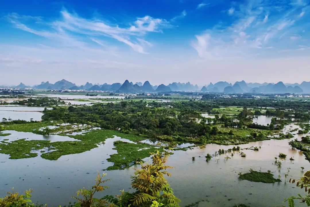 桂林会仙喀斯特国际重要湿地.何志民摄