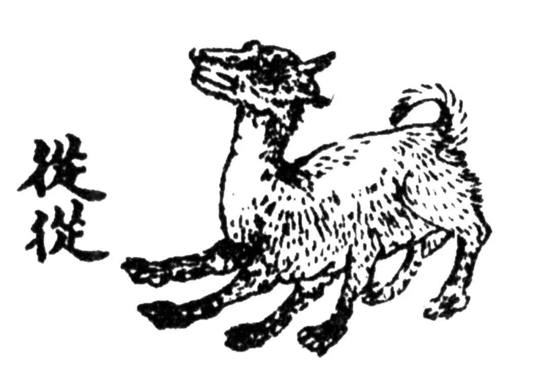 《山海经》中的生物"从从".(图/视觉中国)