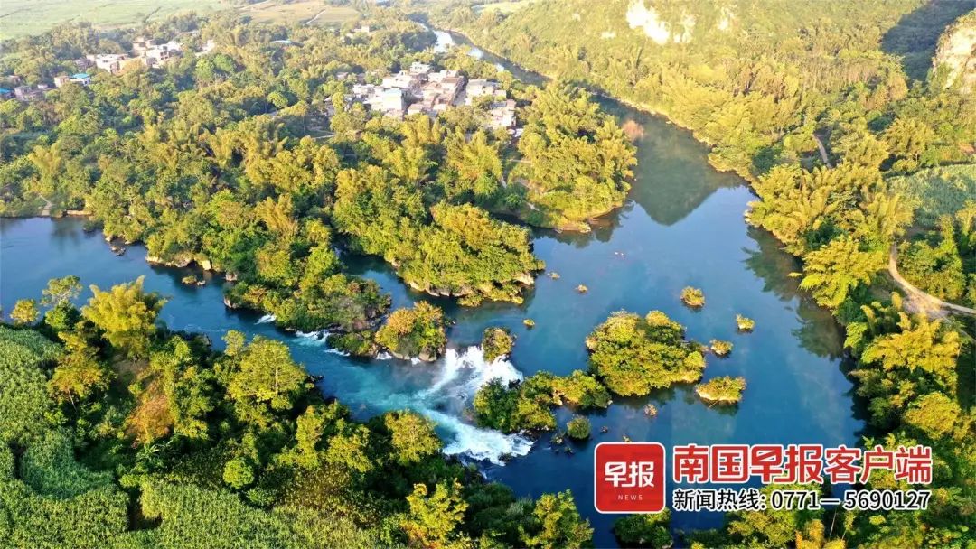 大新黑水河国家湿地公园,山环水绕植被丰美,是湿地生物理想的栖息地