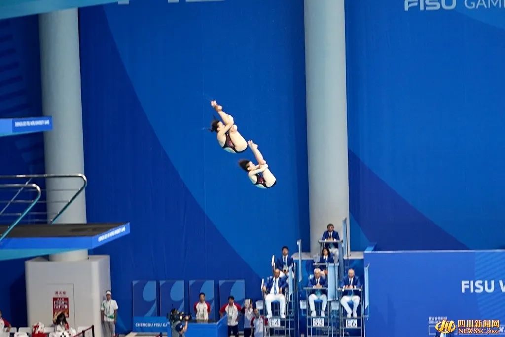 张家齐/掌敏洁组合获得女子双人10米台冠军|跳水_新浪财经_新浪网