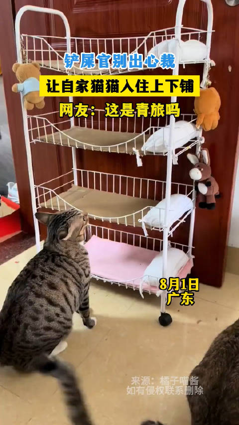 好担心这个小车车散架了_新浪新闻