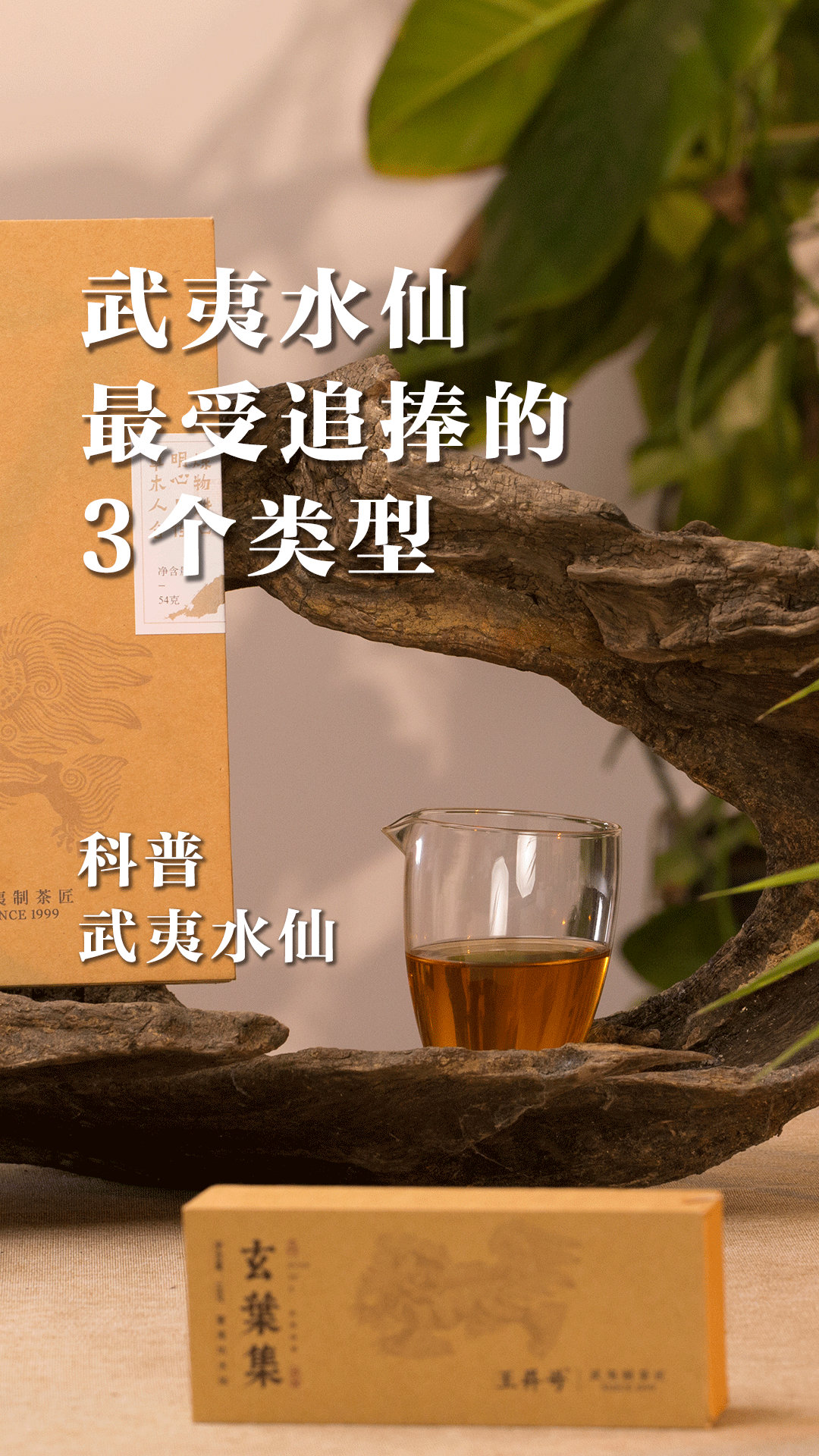 武夷水仙最受追捧的3个类型_新浪新闻