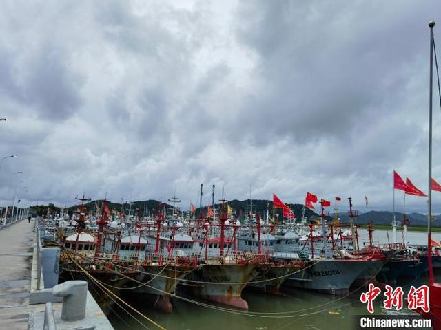目前停靠在宁波崇站避风码头的渔船.徐锦涛 摄
