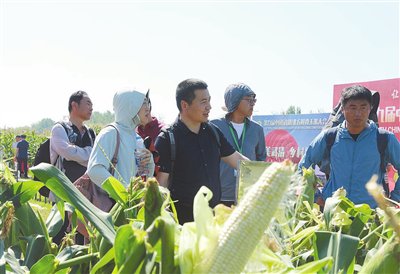 "三条链"绘就乡村新图景(图|产业链_新浪财经_新浪网