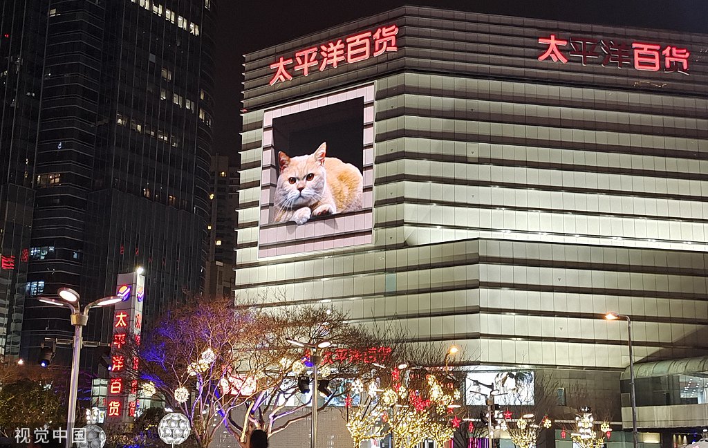 2023年2月8日,上海,太平洋百货外屏上的"三维立体数字萌猫"引人注目.