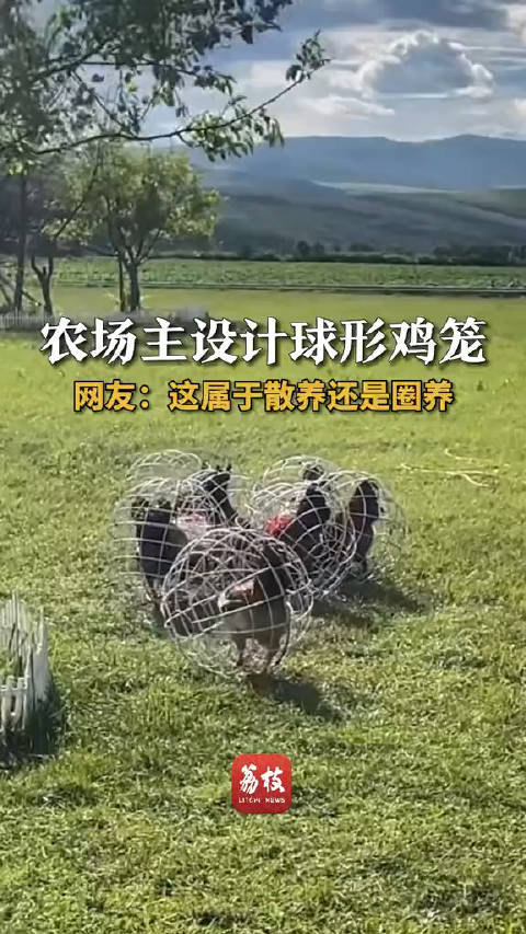 农场主设计球形鸡笼_新浪新闻