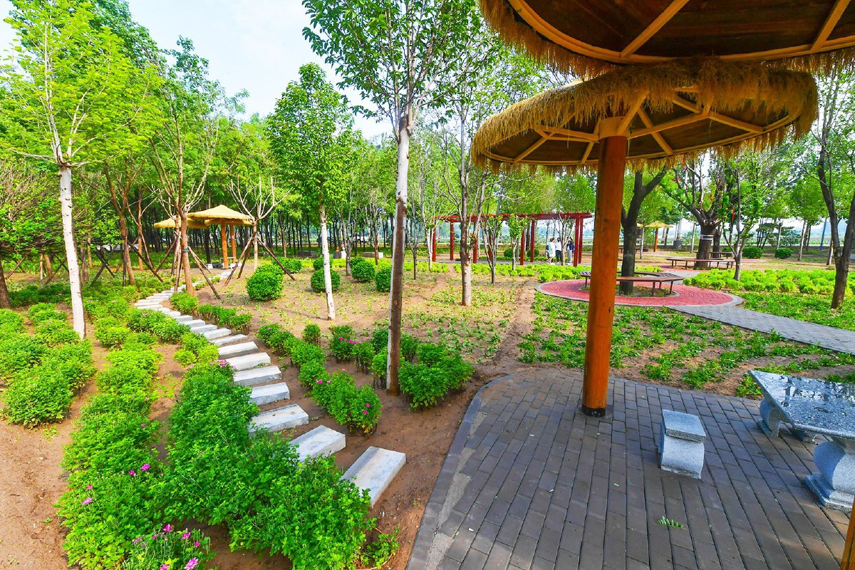 城市副中心村头小公园拼出绿色休闲大空间