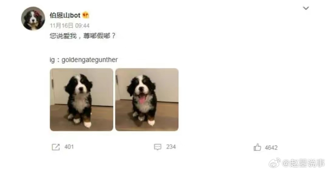 近日，一种名为“尊嘟假嘟”的网络梗迅速走红……|可爱|日常|小猫|语言|网络用语_新浪新闻