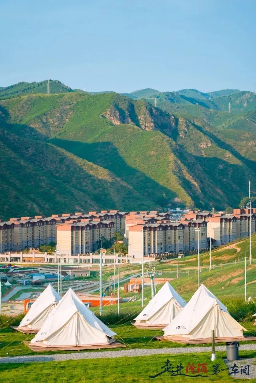 "走进汾酒第一车间",见证中国企业高质量发展|富龙_新浪财经_新浪网