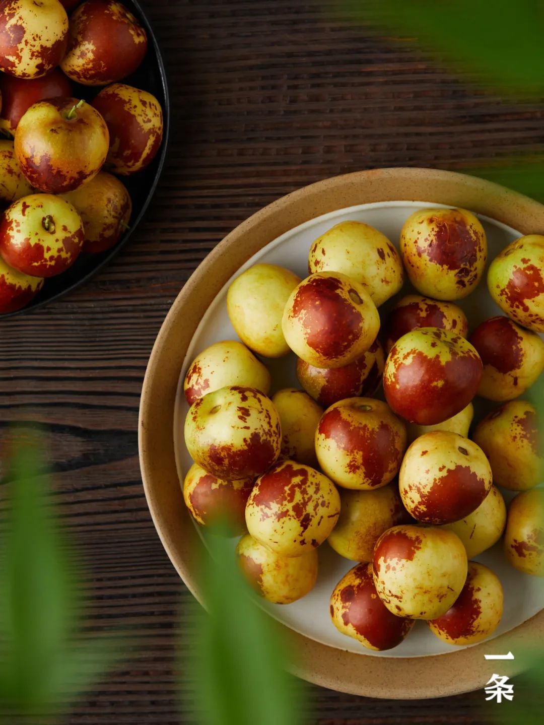 大荔羊奶冰枣,颗颗爆甜,细嫩无渣,一口一个嘎嘣脆!