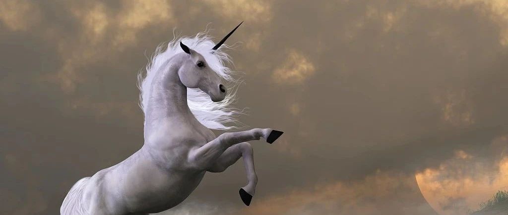 历史首次！Julia 冲进 Top 20，被看好取代 Python？TIOBE 8 月榜单发布|编程语言|历史|python_新浪新闻