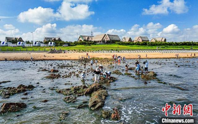 图为游客在山东荣成海滨赶海.李信君 摄