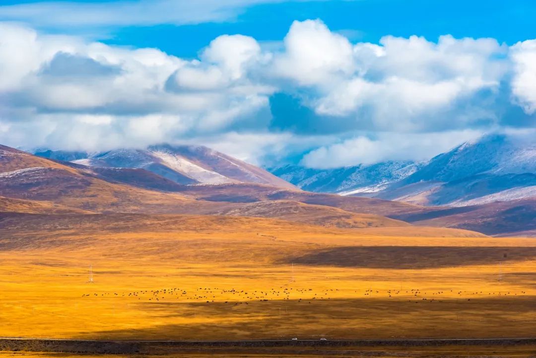 色达县金马草原秋色美.(图片来源:图虫创意)